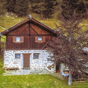 Chalet Vioz